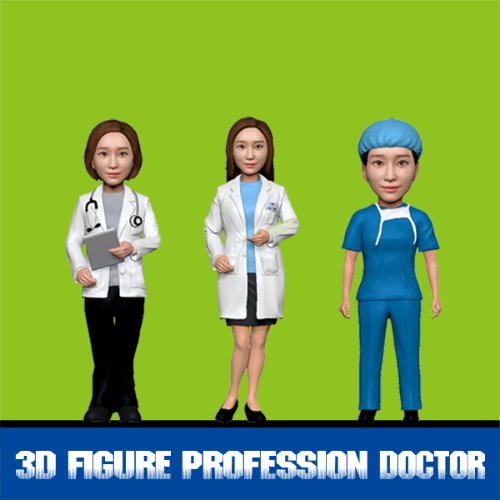 3D피규어 전문직 의사 간호사 여자